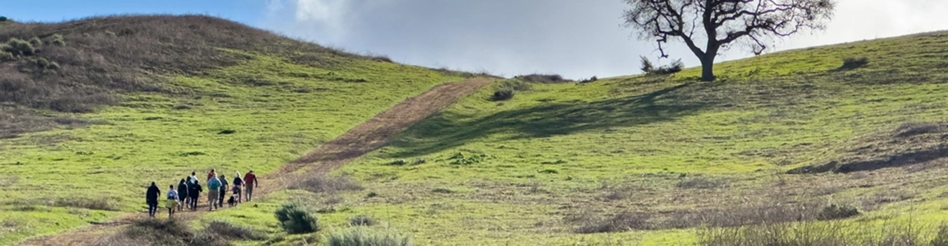 Wayfinding: The Art of Not Getting Lost