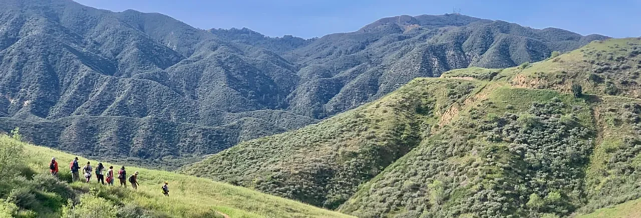 Movement Lab: Building the Foundation